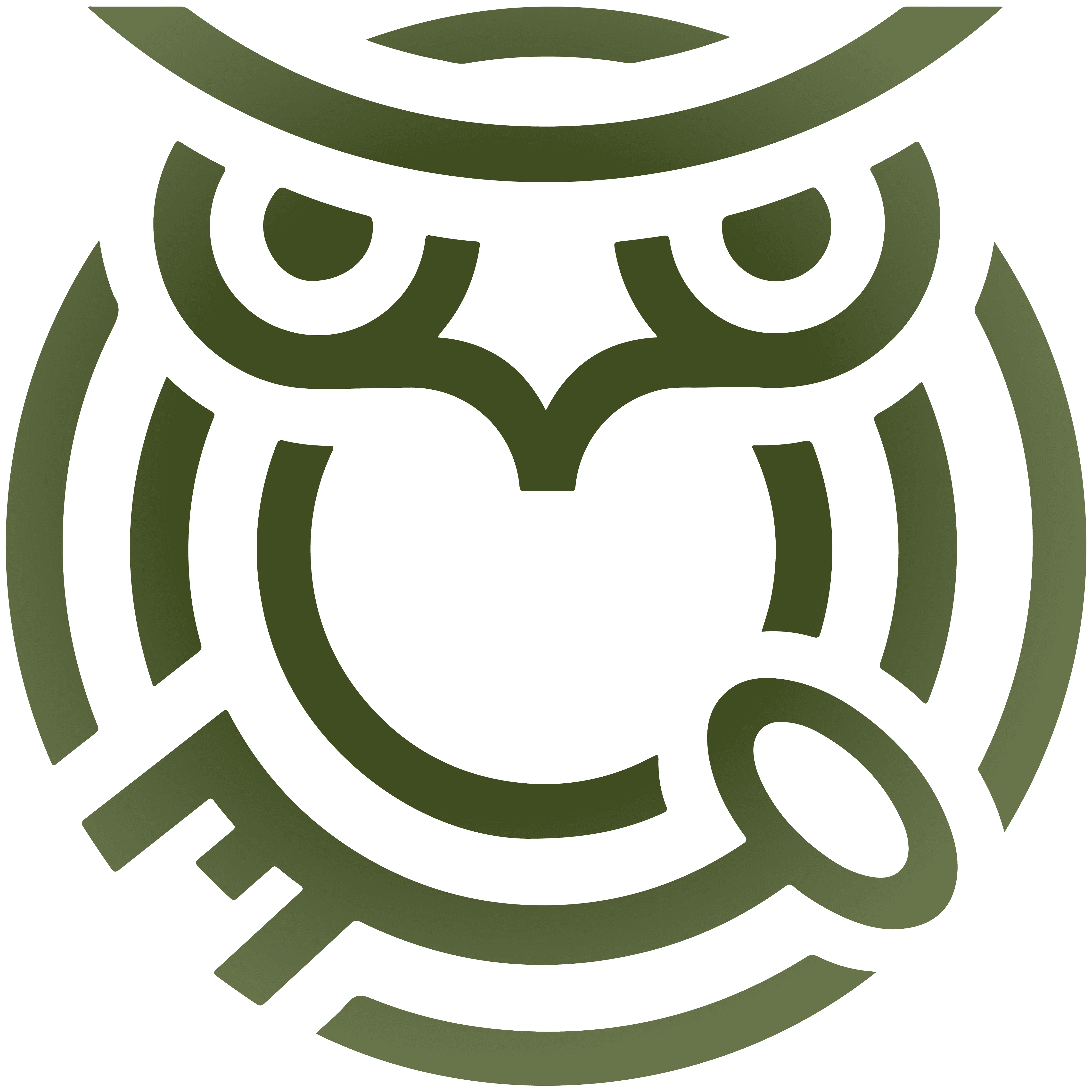 Logo Risman